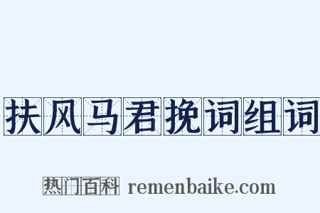 扶风马君挽词组词是什么意思的图片